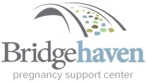 Why Do I Need an Ultrasound Before Abortion in Iowa - Bridgehaven