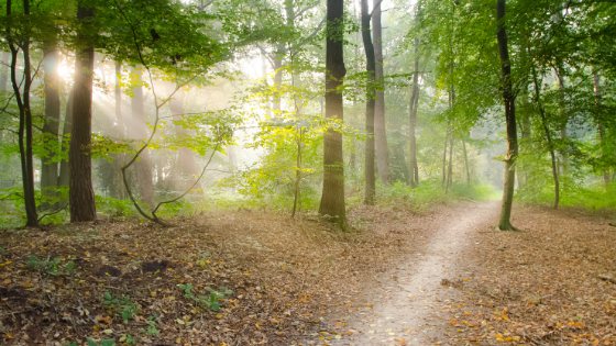 A Season to Refocus