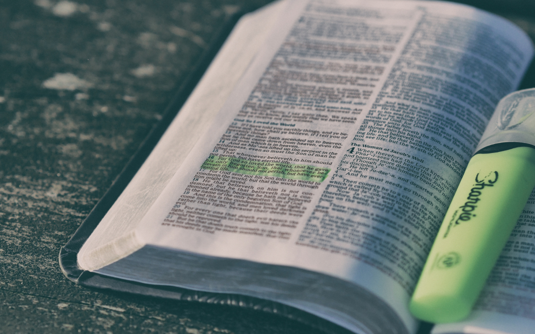 What Are You Highlighting?