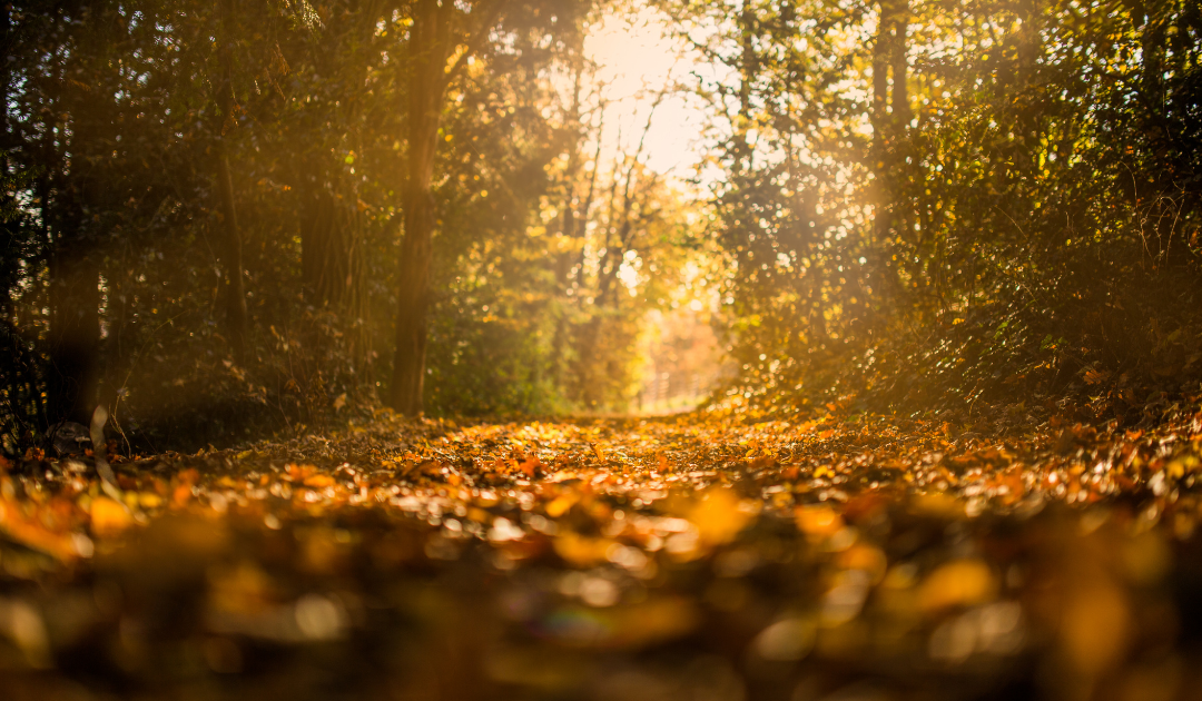 Redemptive Transitions
