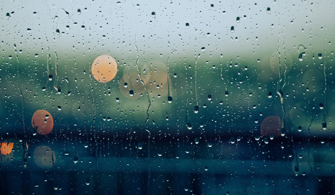 Rain on a Mown Field