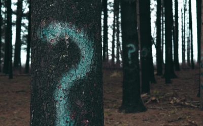 What Are the Different Types of Abortion?