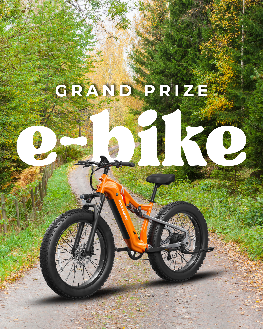 grandprize e-bike
